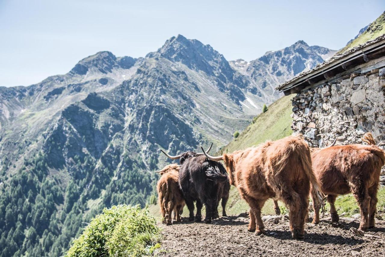 Archehof Hochzirm Lodge Anton Campo Tures Zewnętrze zdjęcie